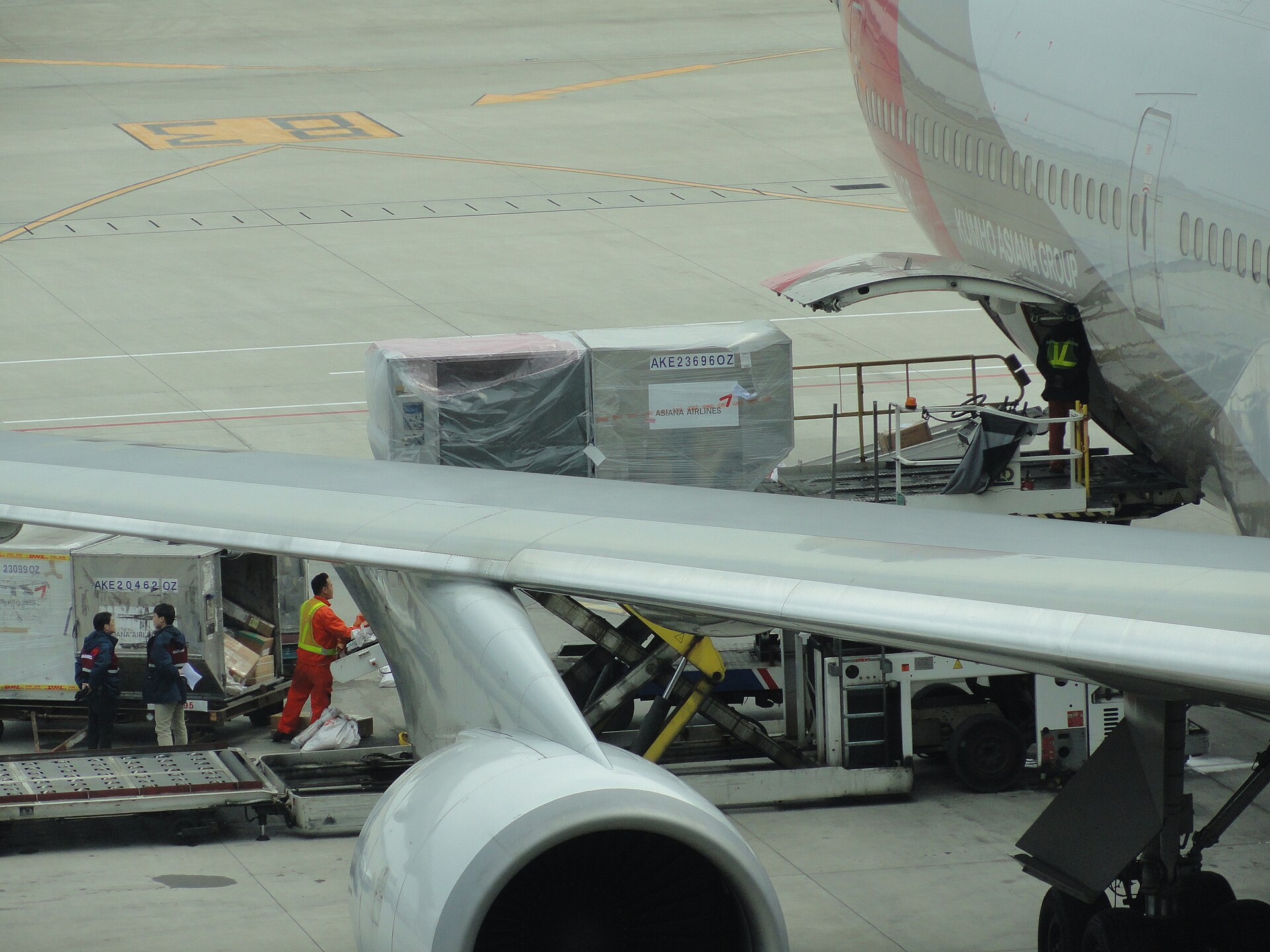 Parcels being loaded onto a cargo flight for international shipment