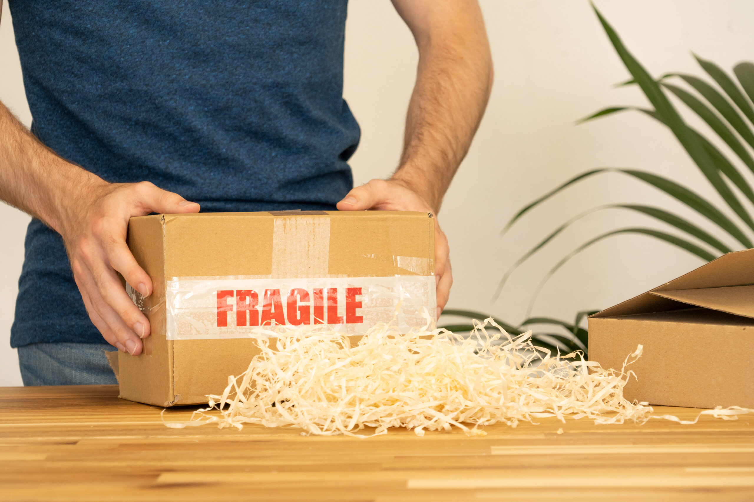 Fragile item secured inside a carton with protective packing material