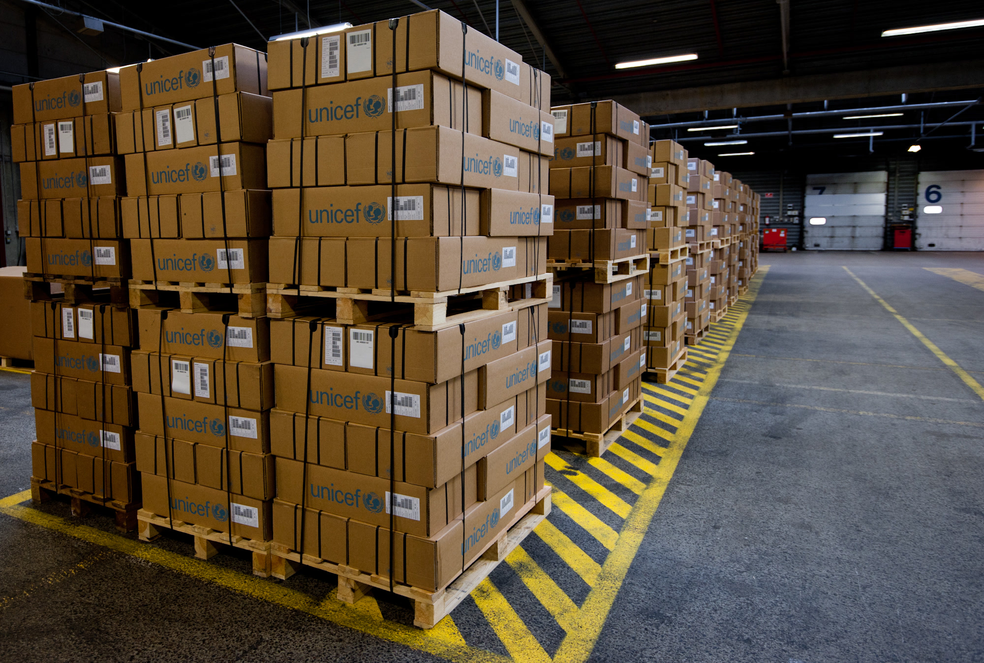 Palletized parcels staged for shipment