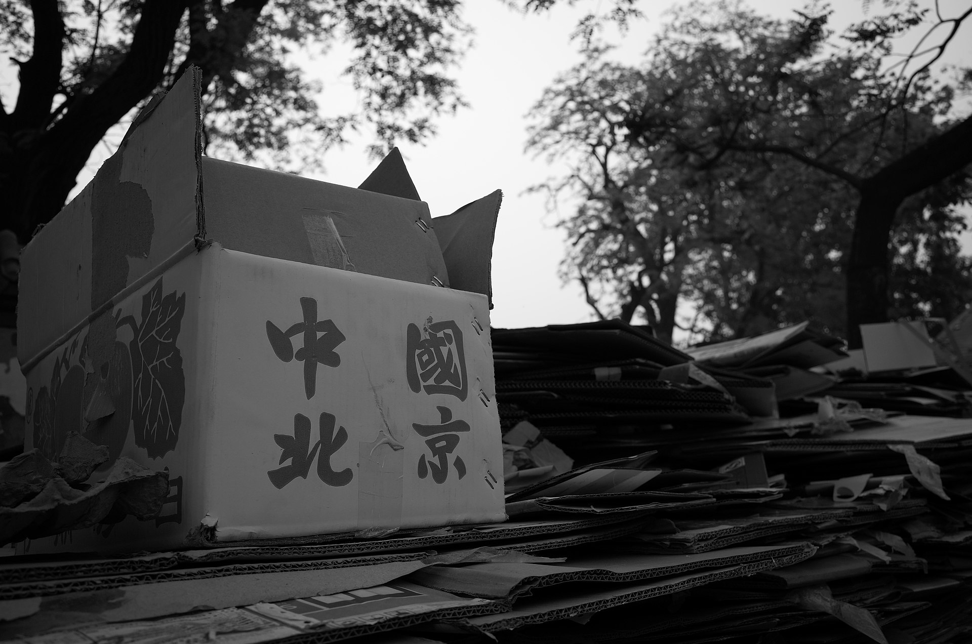 Piles of cardboard boxes in Beijing representing parcels handled before forwarding
